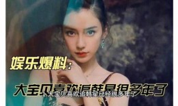 娱乐大爆料于文文,文文新动态，揭秘幕后故事